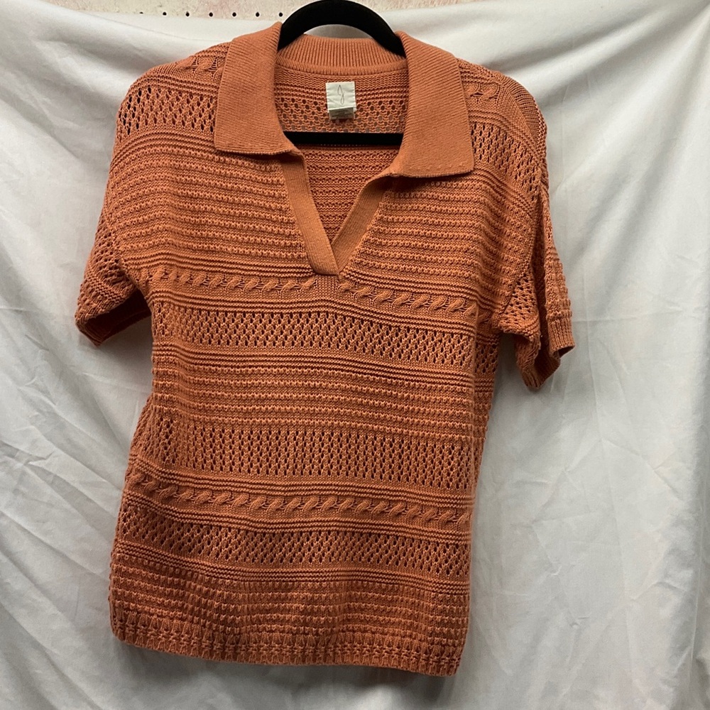 Joie Rust V-Neck Knit Sweater